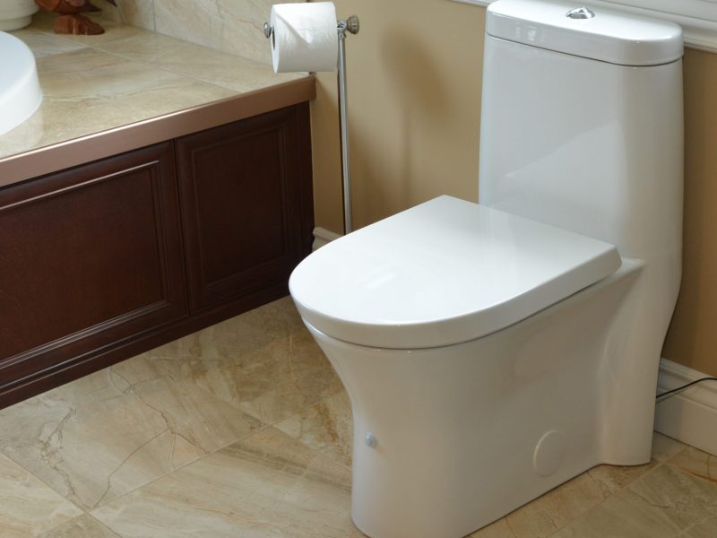 toilette-id-toilet-photo-idenov